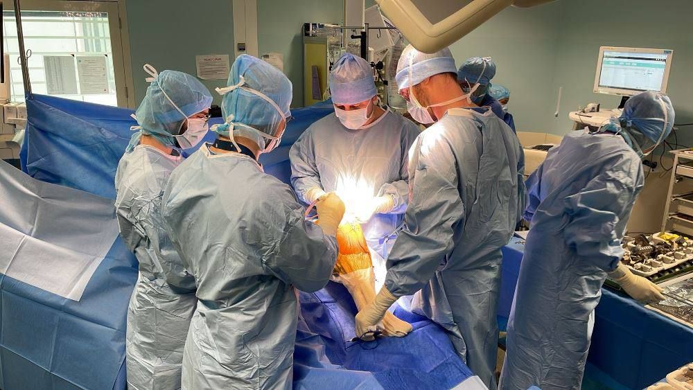 ��������������� ����-������� �������� ������� ������ ���������� �� �������