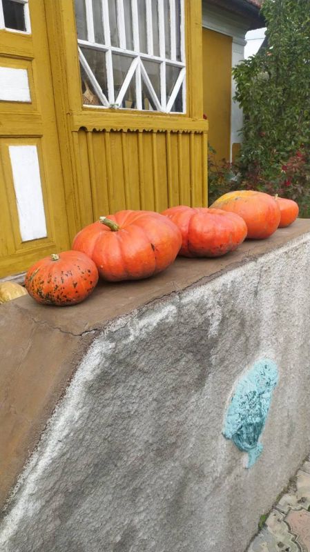 ���������� ������ ���� �� ����������