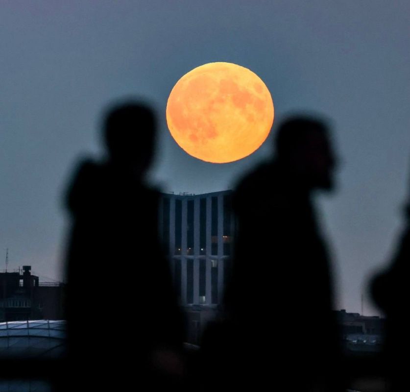 �������� ������� ������������ ����������, ������� ���� ������� �����