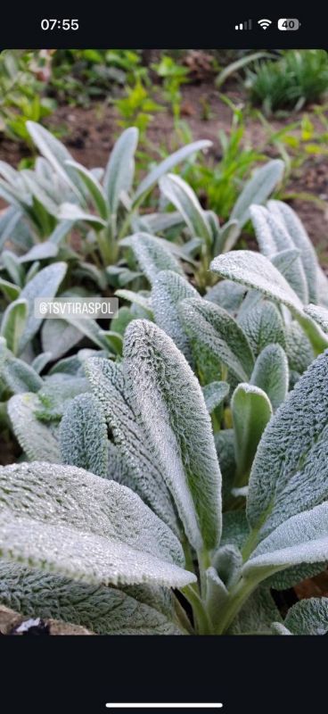 ��������� ������ � �������������