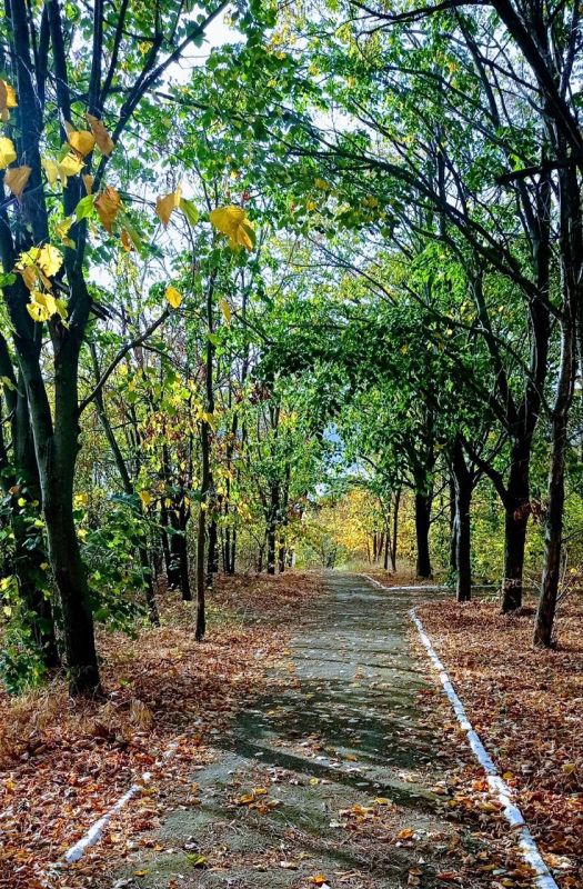 ������� ������� ������ � ����������