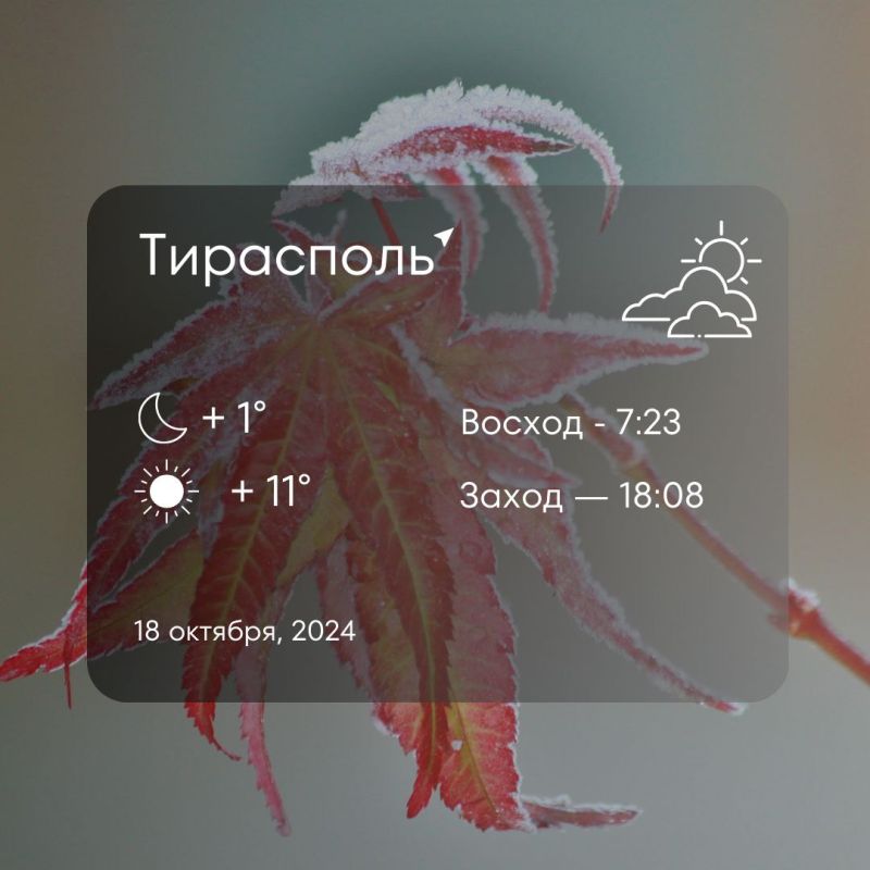 ������ �� �������