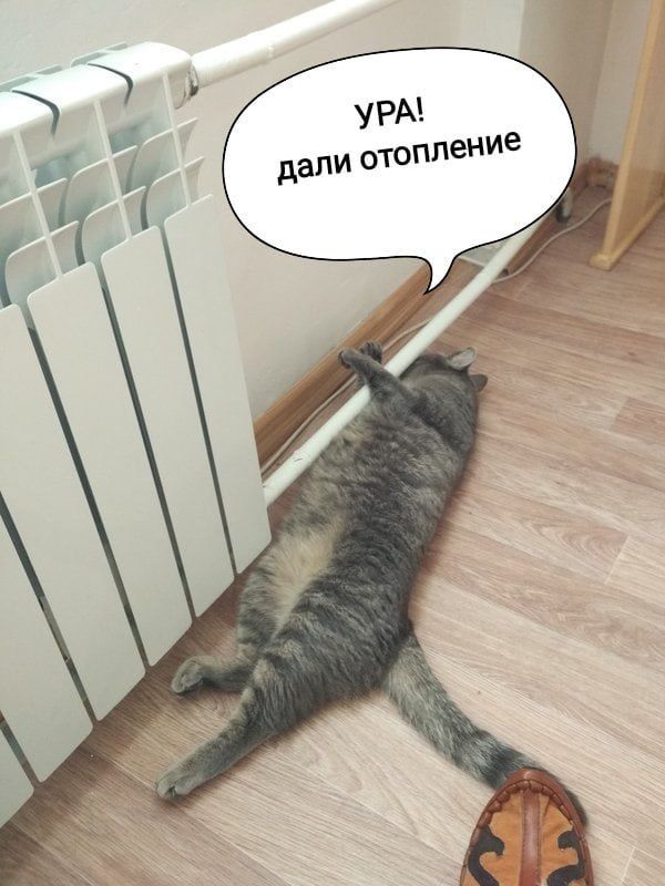 ��� ������� ����� ������� - ��� ���� ���������!