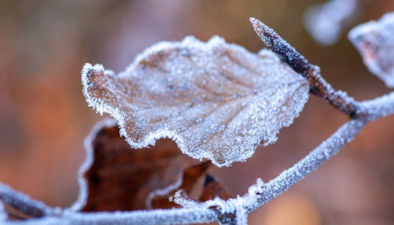 19 � 20 ������� ����� � ����� �� ���������� ������� ����������� ������� ��������� �� -2��, �������� �������������