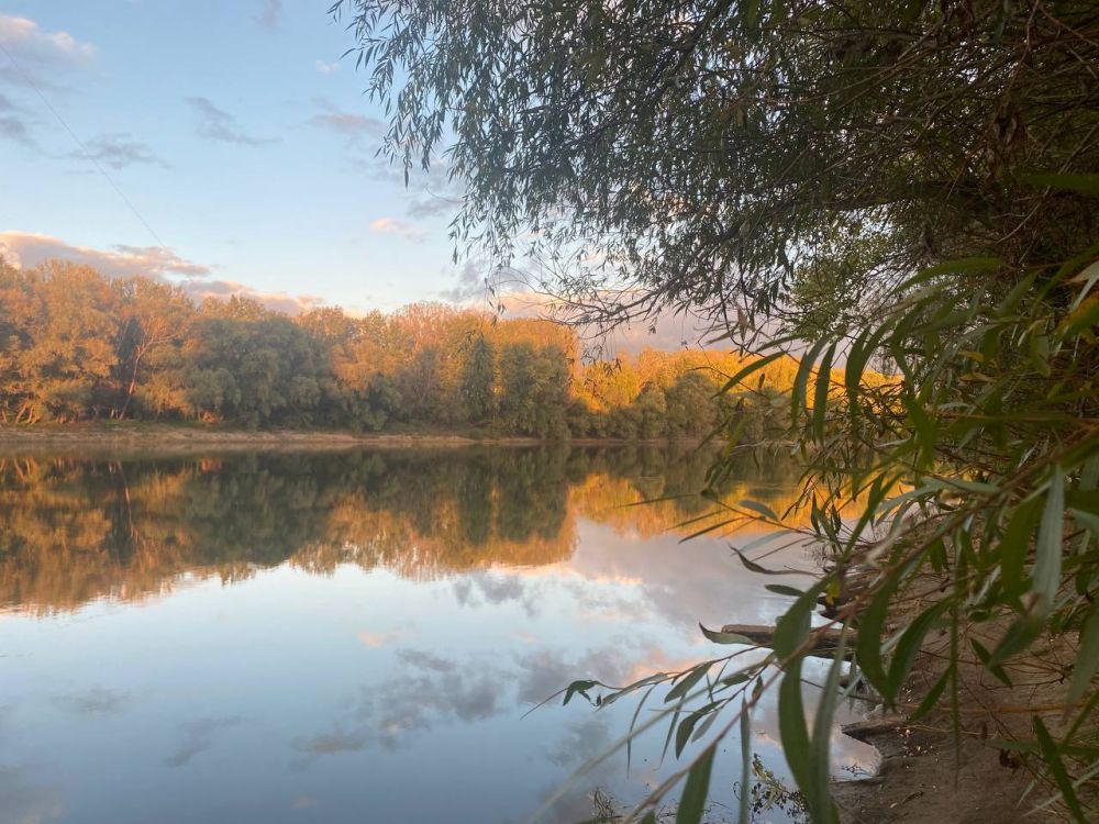 ������� ������ �� ������ 19�21 �������