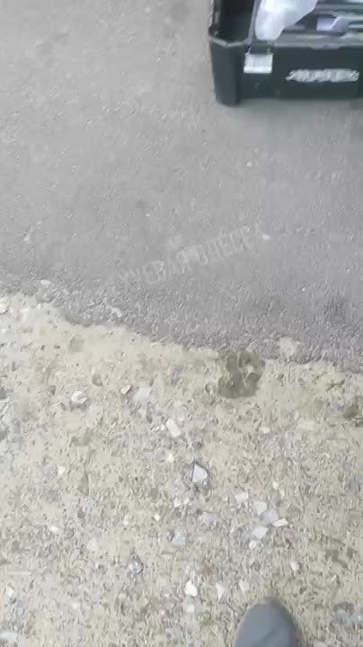 ��� ����� �� ��������� � ��������-������������ �������� �������