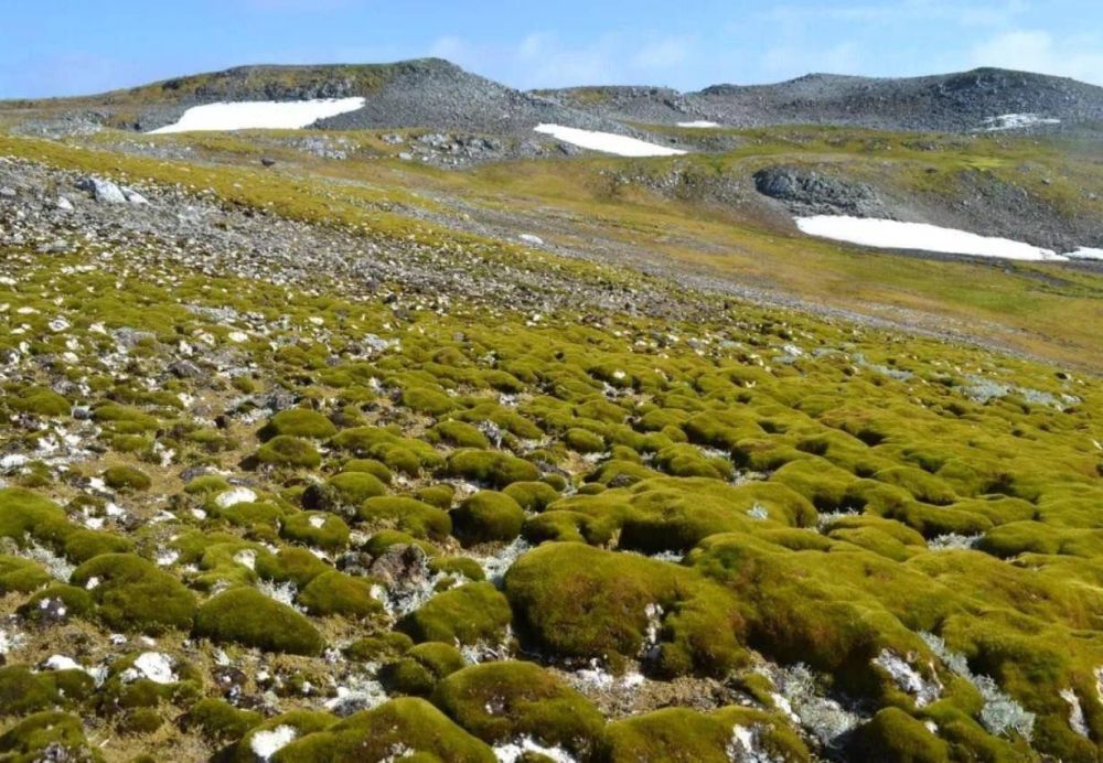 ���������� ������ ��������