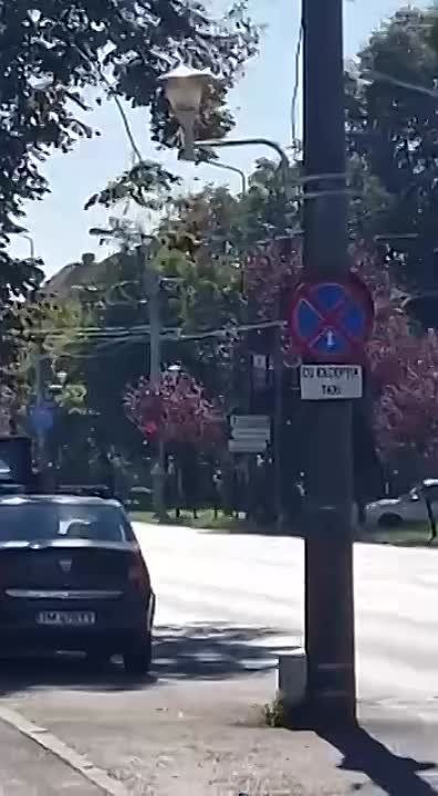 � ������� �������� ������������� ���������� ������ ����������� � �������� ��� �����������