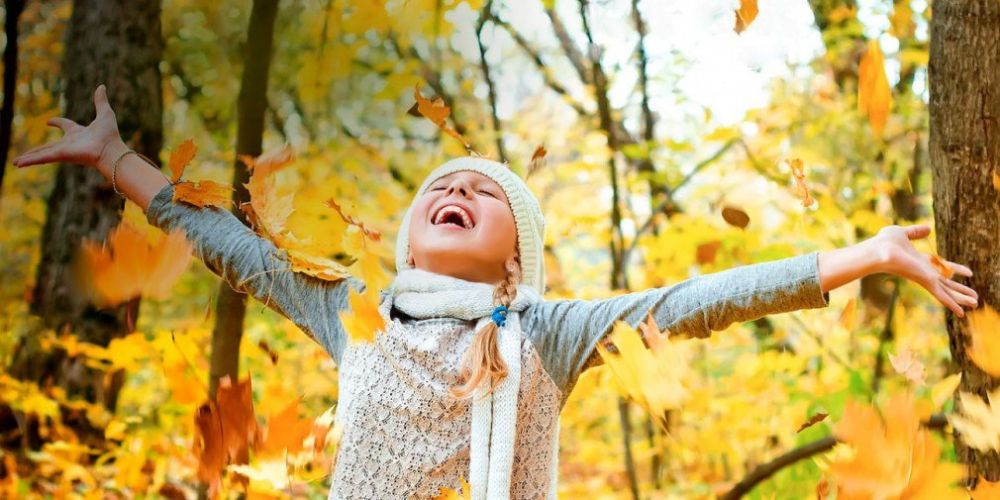 � ������ �������� � ���������� ���������� ������������ ���������� ����������� �� ������� ��������