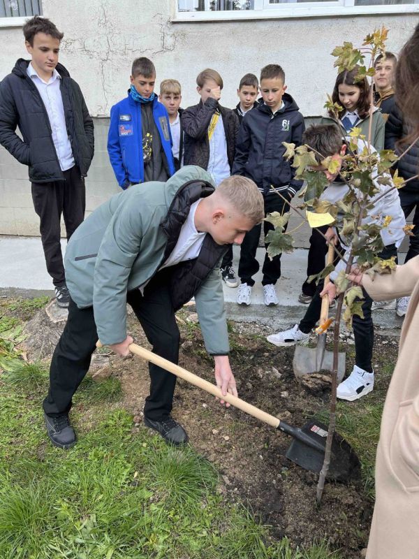 ���� �������� �������� � ������������� ������������������� ������������� �����