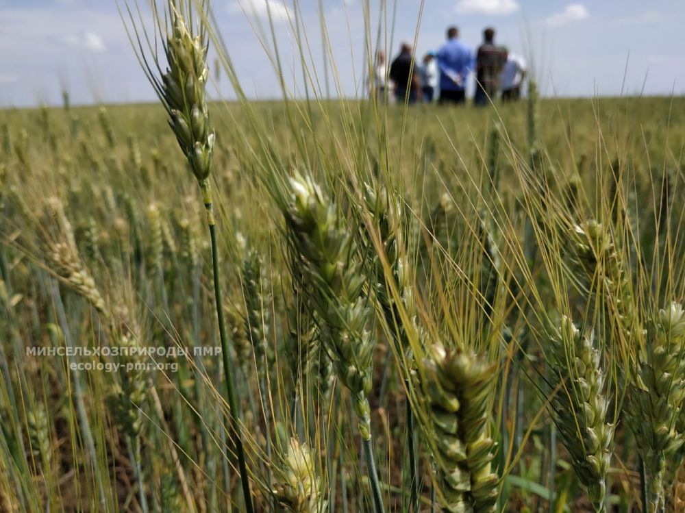 ����������������� ��� ������� ����� ������ � ���������