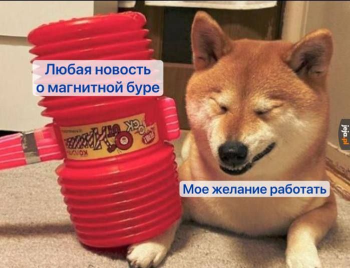 ��� ������ ��������� ���� � �������� ������ ��� ������ � ��������� ���