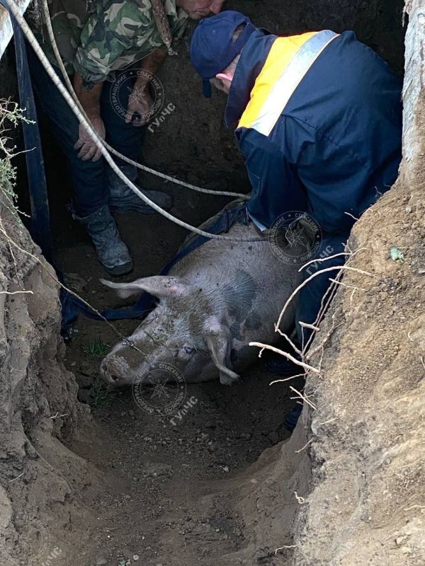 ������� ��������� 10 �������