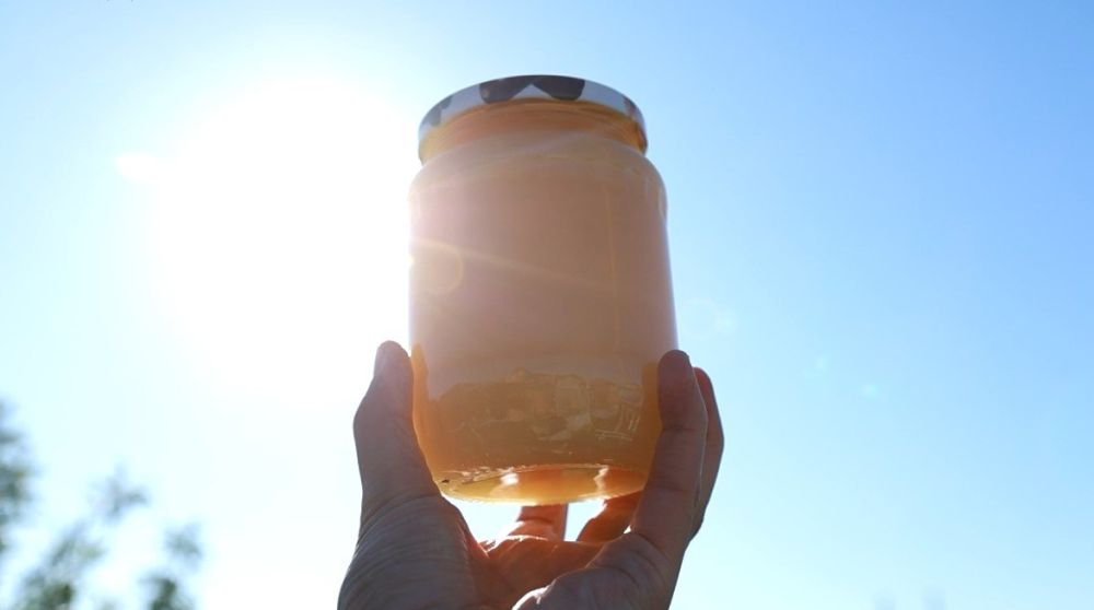 ��������������� ������ ���� ������ �������� �����