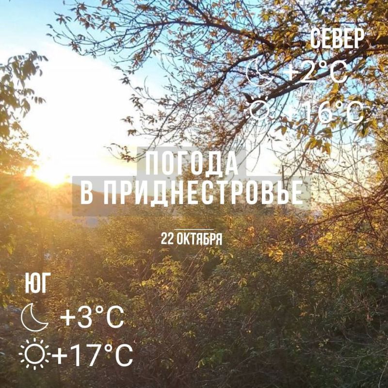 ���� � �� +17��. ��� �������