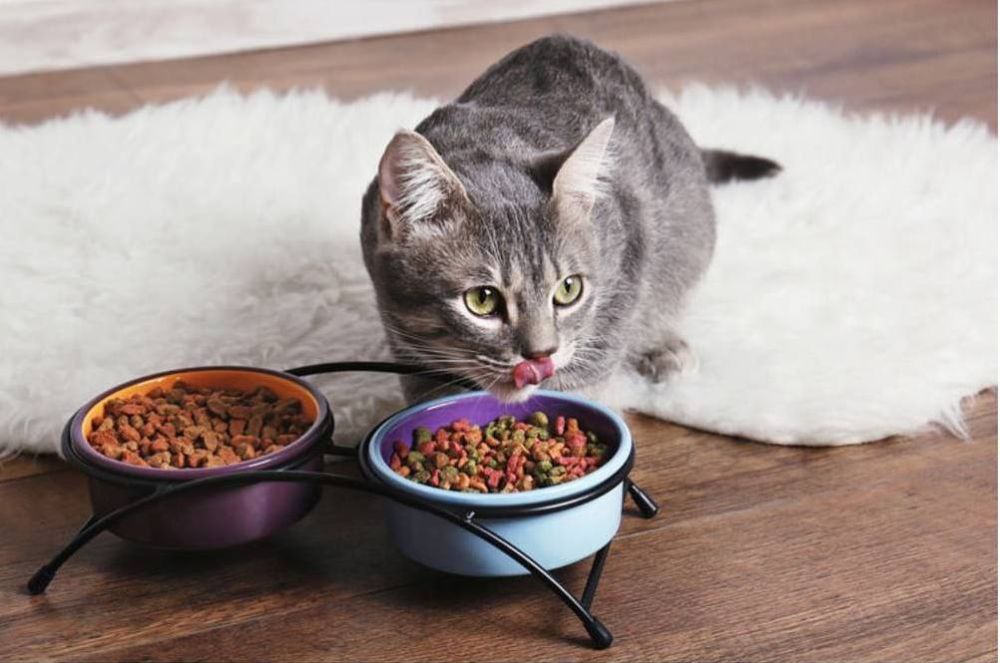 ����, �� ����� ����, ��� ��������