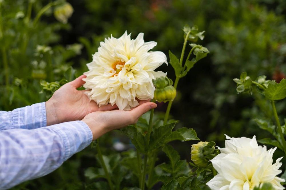 ��������-������� ������������ � �������� �������� ������ � ������������ ���� 2 ������