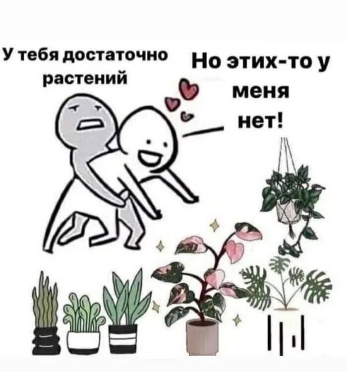 ������������ ��� ������� ������� �������� ��������