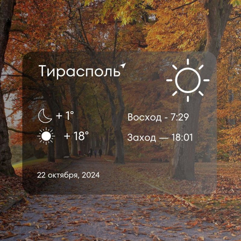 ������ �� �������