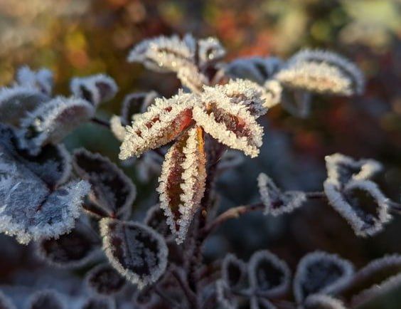 ������������� ������������� � ���������� �� -2�� ��������� ����� � ����� 23 �������