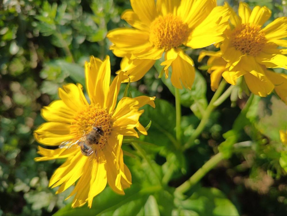 ����� �� ����� � �������� �� ������� ��������� ������