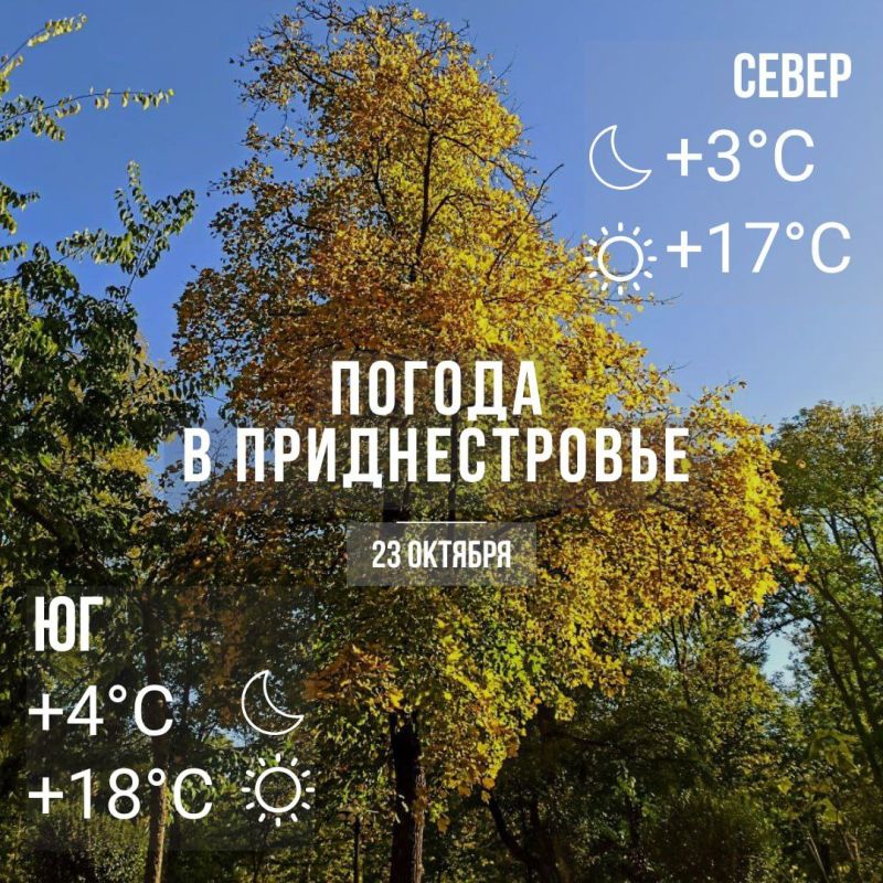 ���� � �� +18��. ��� �������