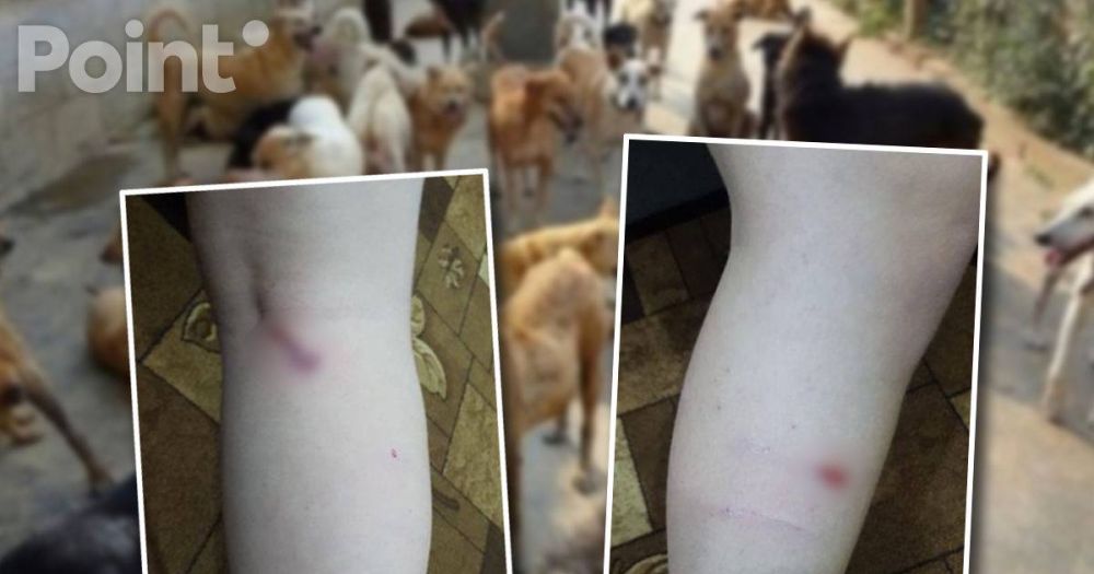 � ���������� ������� ��������� ������ �������� ������