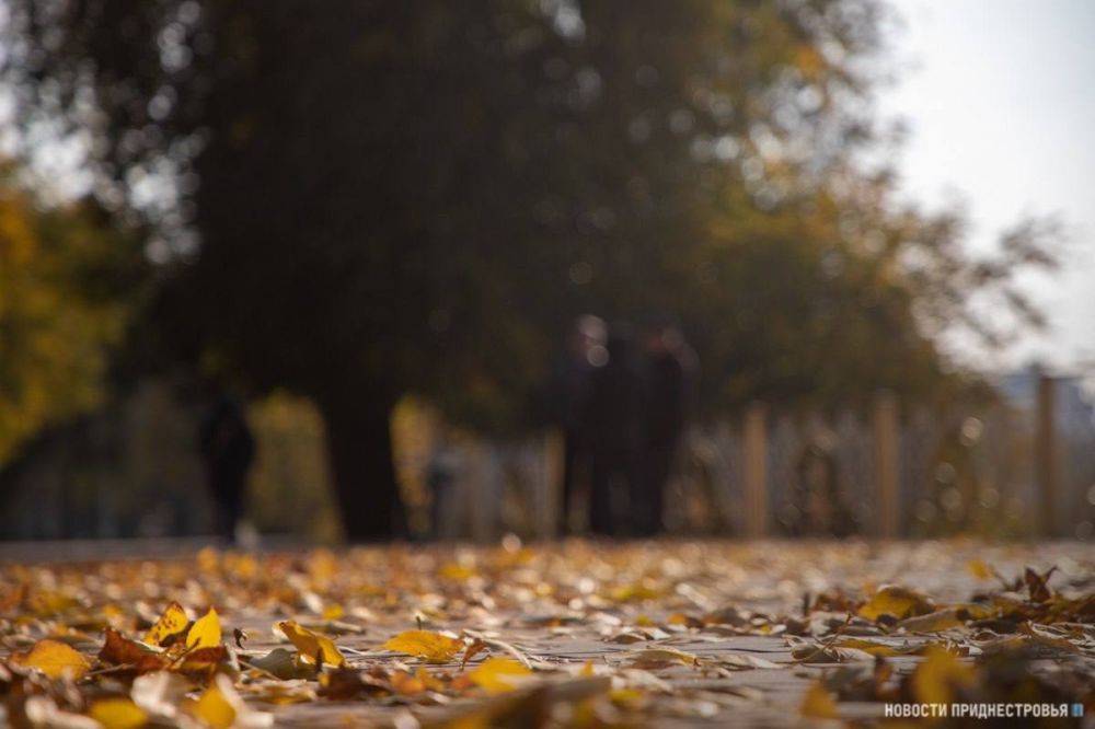 ��������� �� ���������: ������ ����� �� ���������� ������� ����� ��������� �� ����� �� -2��