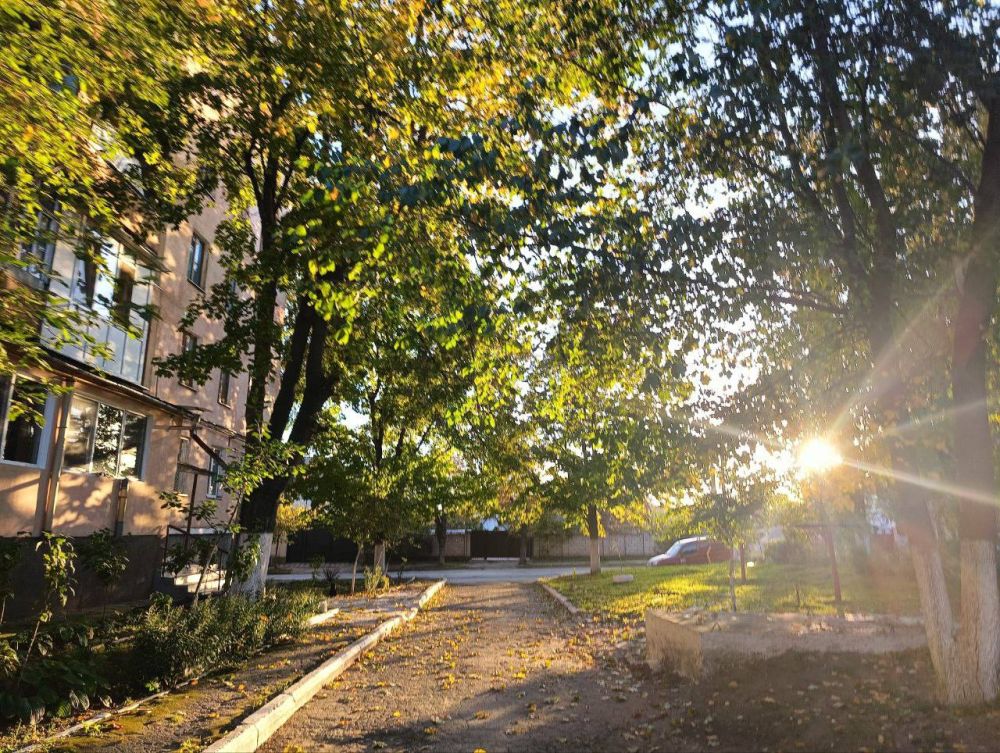 � ���� - �������� ��������, � ����� - ����� ������ �������