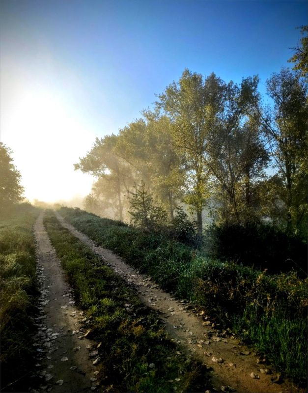 ������ � �����. ���������