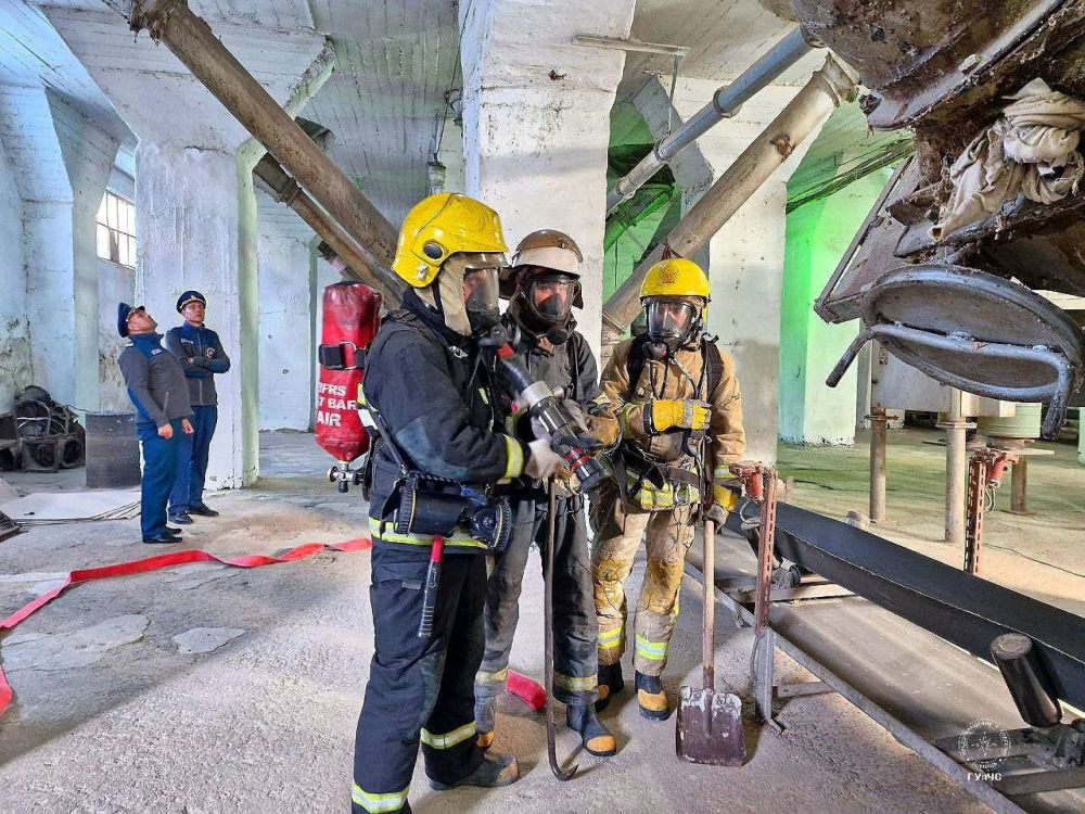 �� ����������� ��������� �������������� 24 ������� ������ �������-����������� ������ �� ���������� ��������� ���������� � ��������������