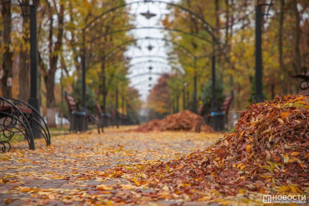 �� ��������� ����������, �� ��������� ������ � ������������� ��������� ������ ��� �������