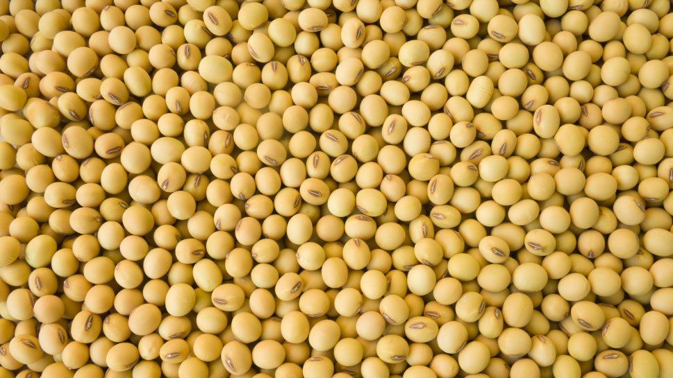 ��� � ������ ������: ������� �� ���������