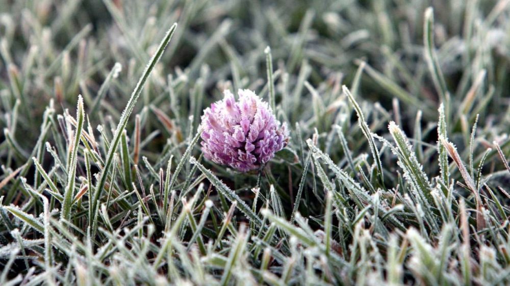 ������ ����� �� ���������� ������� ����� ��������� �� ����� �� -4��, �������� �������������