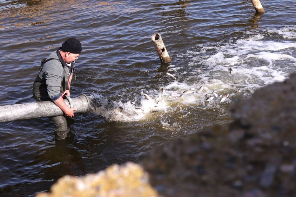 � ���������� ������� �������������� ���������� ���������� ����