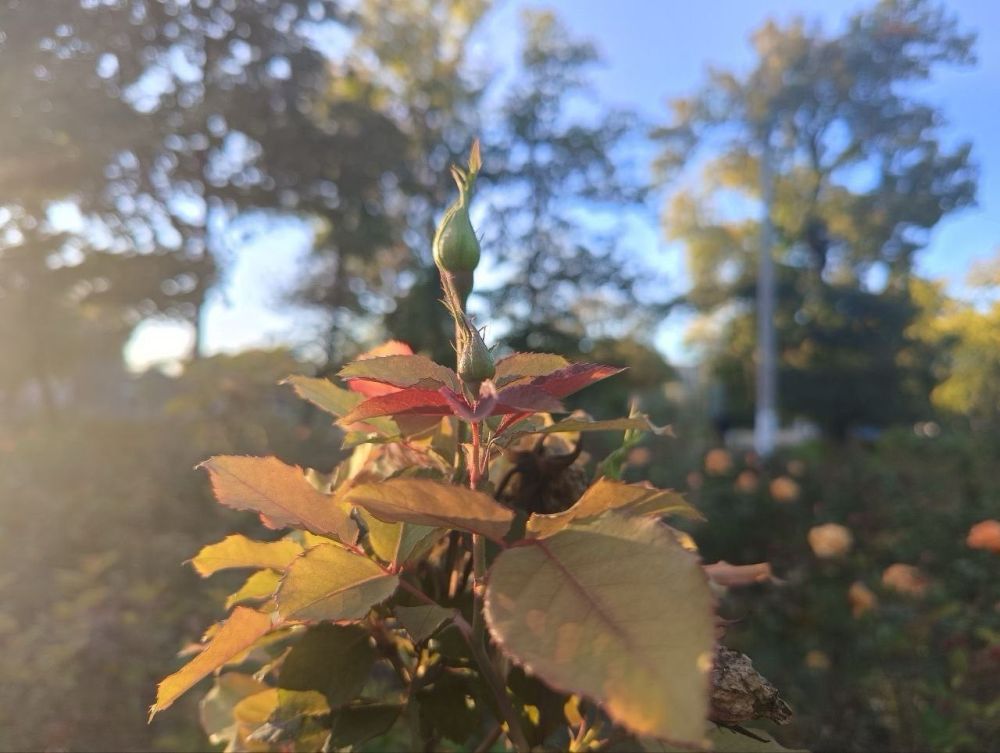 ��� �������� ��������� ����� �� ����� �� � ��, 24 ������� ��������� ���������� ����������, ��� �������