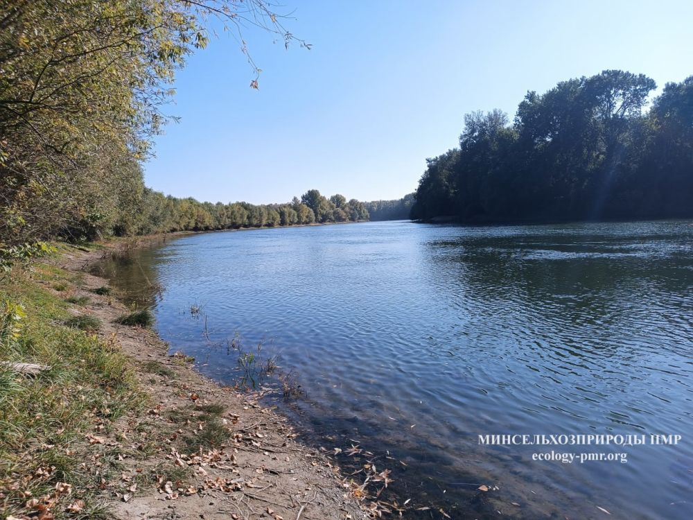 � ������ �� �������� ����������� �������������