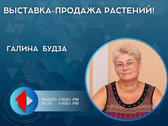 ��������-������� ��������!