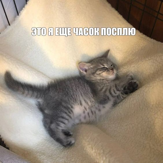 � ��� �����������, 27 �������, ��������� ������� �� ��� �����