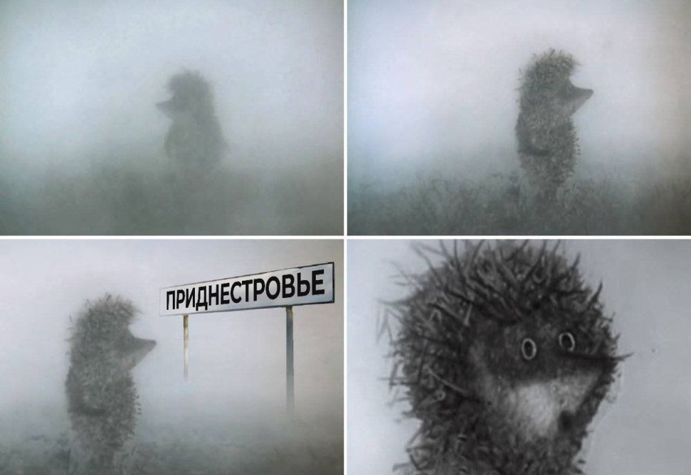 ������� ����� ��������� ����� � ����� 26 �������: �����, ��������� �� -2�� � ������� � �� -4�� �� �����