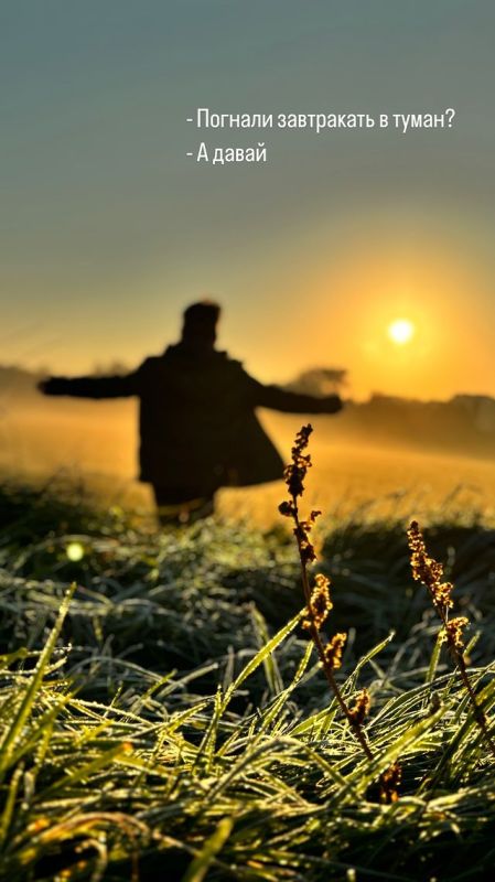 ���������� ���� � ���������: � �����������, ������� � ���������� �������