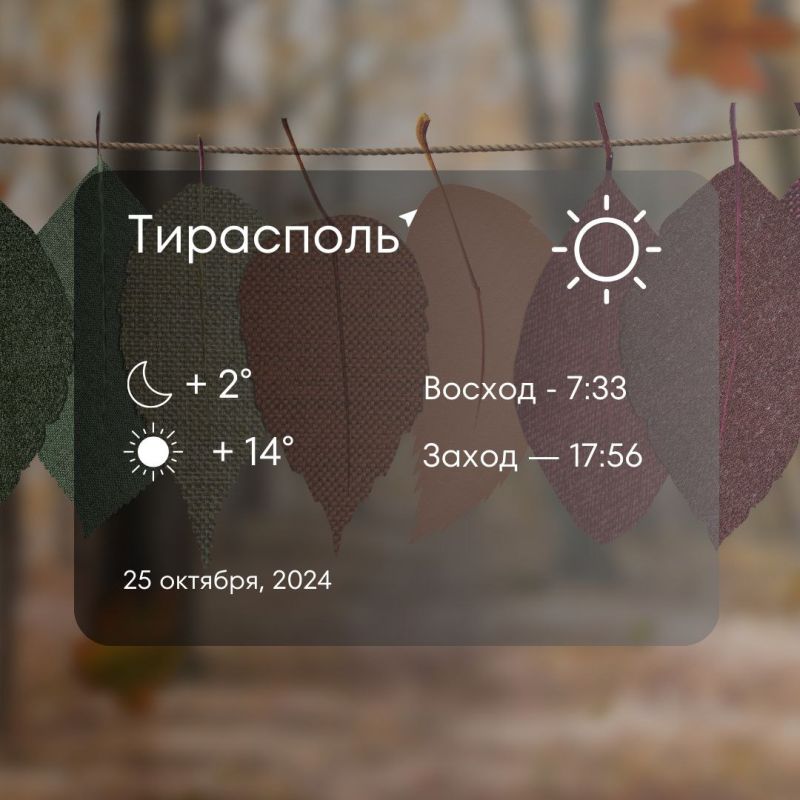 ������ �� �������