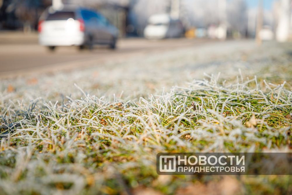 ����� � ����� 26 ������� ��������� ������� ����� � ���������� 200-500 ������