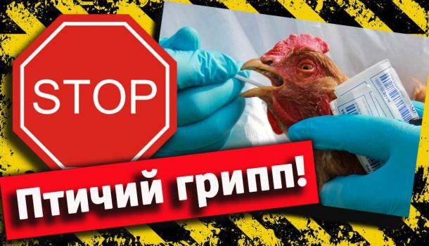 �������� �������� ���� ����� � ������������� �� �������: � ���� ������� ������� ������ ������ �����