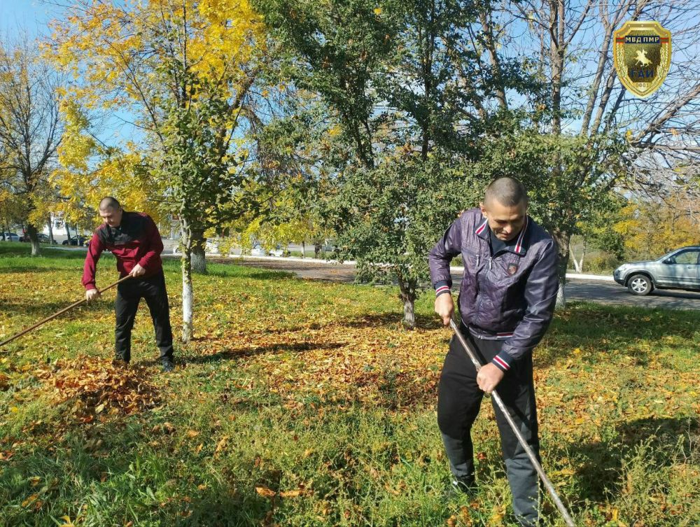 ��������� � ����������������: ������� ������ ����������