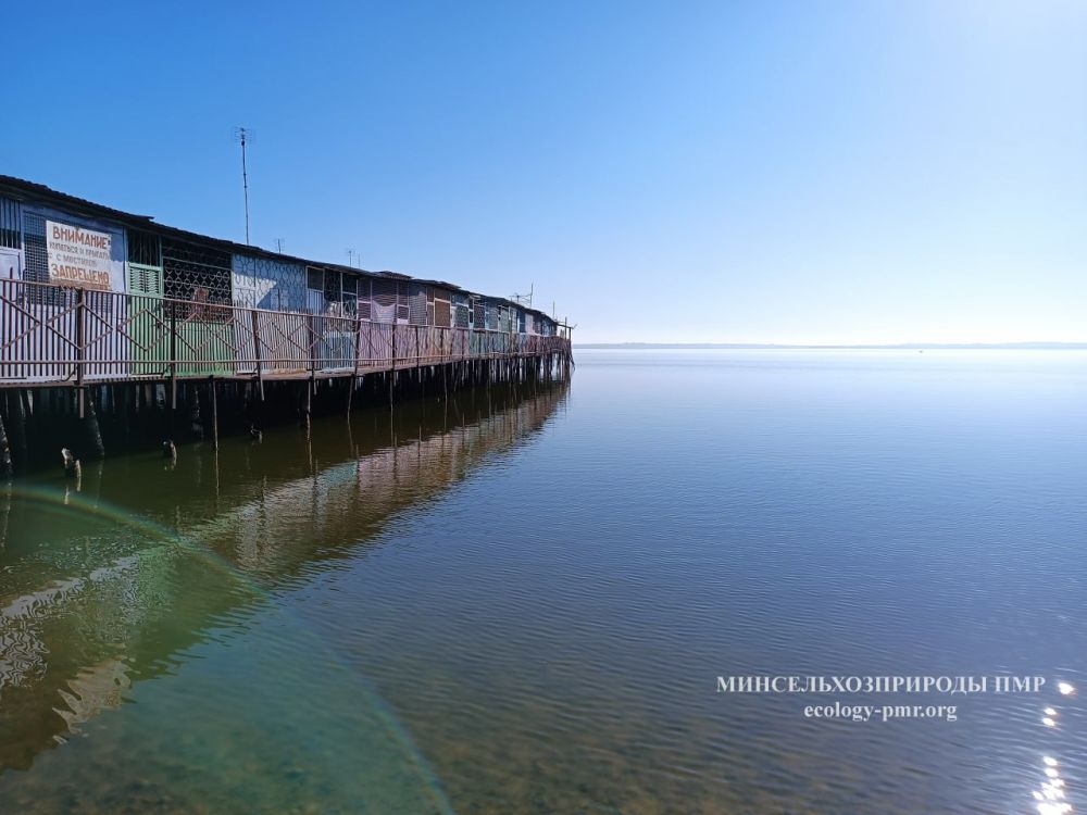 ������� ������. �������, 28 �������, ��������� ���������� ����������, ��� �������