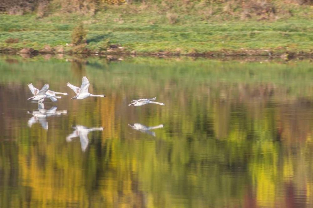 ����������� ������.. ���� ������� ��������