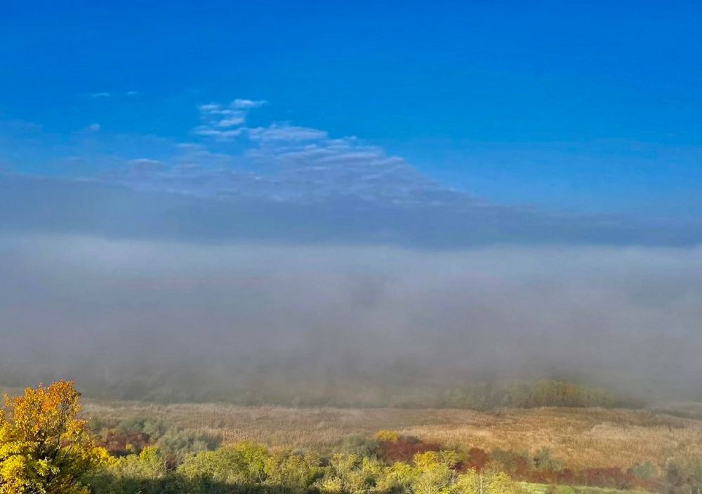 ������ ����� ������������� ����� ������� �����