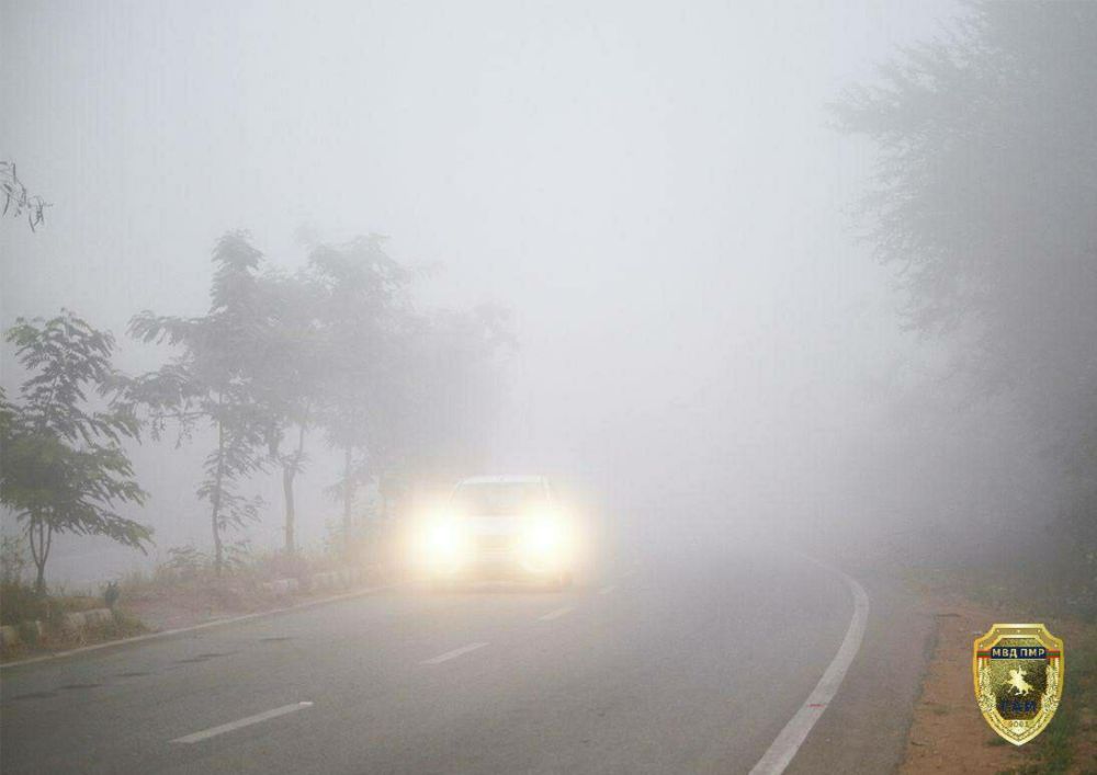 �������� ���������!. �� ������ ��������������, 29 ������� ����� �� ���������� ������� ���������