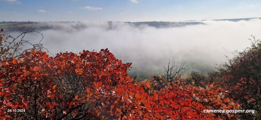 ������ � �������� ���� ������������� ����� ������� �����